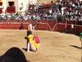 videos de toros miercoles.AVI