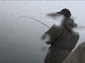 brochet mourinflurt