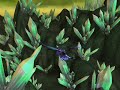 Netherwing eggs!