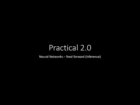 Practical 2.0 β NN forward