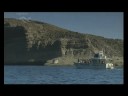 en la Patagonia Argentina, vive la experiencia única de navegar
a metros de las ballenas francas

Instituto de Conservacion de Ballenas