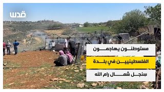 مستوطنون يهاجمون الفلسطينيين في بلدة سِنجل شمال رام الله مستوطنون يهاجمون الفلسطينيين في بلدة سِنجل شمال رام الله