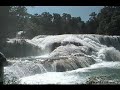 Chiapas, Campo Selva y Mar