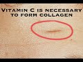 Vitamin C 101 (Health Guru Tip) Vitamin C 101 (Health Guru Tip)