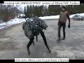 White horse - BigDog