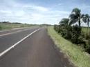 Pedalando pr�ximo a Cascavel (2) BR-277