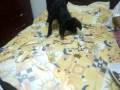 videos de CindyBrincandodeEnterrar