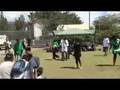 animations au cvl