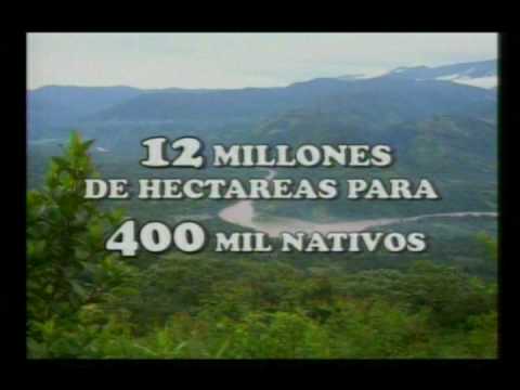 Imagen de previsualización de YouTube