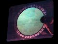2007 COACHELLA  Bjork