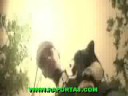 sagopa-kajmer-ftcezaneyim-varki.html