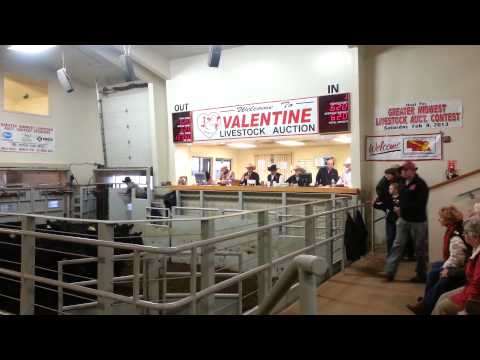 Jared Miller - Jared Miller Greater Midwest Auctioneers Championship 2013 Finals Round Top 10 Finalist.