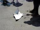 Melbourne Beach mantarraya