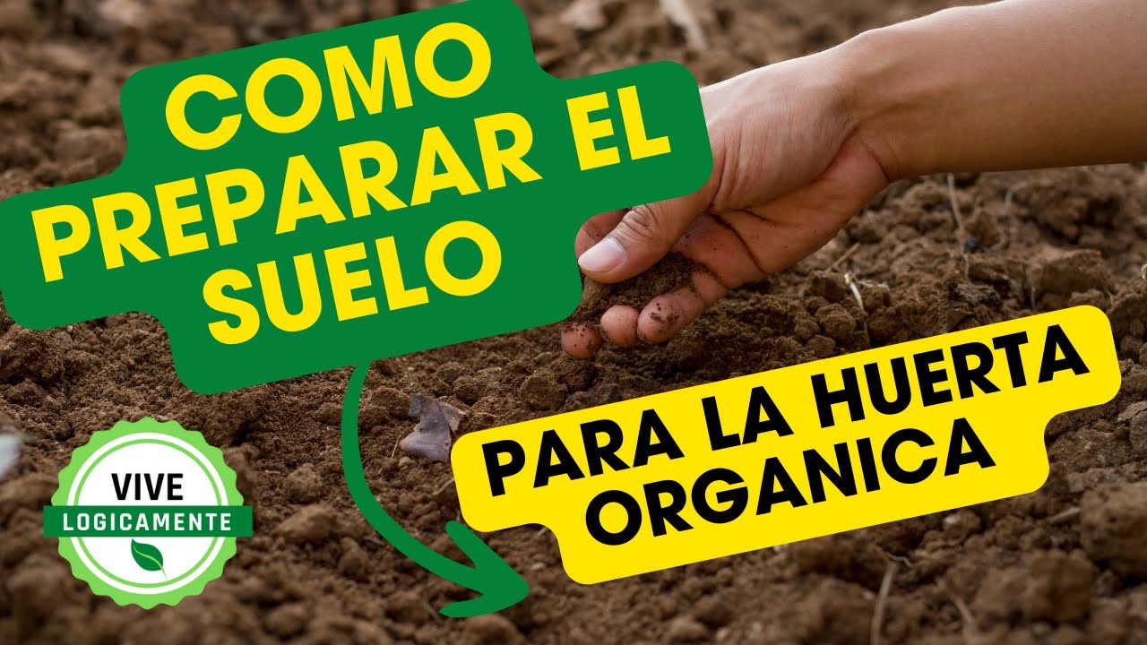 Preparación del suelo la base de una huerta orgánica exitosa