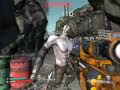 Borderlands on Intel 4500mhd ( x4500 )