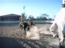 Carrera a Caballo entre peterpan y el ni�ito de peter pan