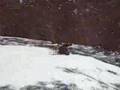 Frontside Rodeo Flip
