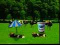 S�ta� Ayran �nekler  Nostaljik 