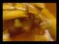 (SpokenWord) @---OaklynTV---@ (CDC2)