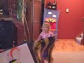 BumbleBee Dance