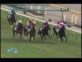 videos de [レースリプレイ] 081115 5東京3 06R 新馬
