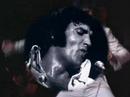 Elvis Presley - Wearin' That Loved On Look