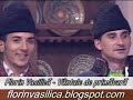 Florin-Vasilica-Vant