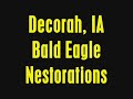 Decorah bald Eagles ... Fish Hatchery IA Nestorations with LARGE stick ...12/08/09 ...8:50 AM