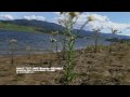 JVC VERIO HD7 image TEST by VOICERECORDING