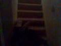 videos de Buntyslide#1.3gp