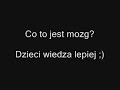 Co to jest mozg? Dzieci wiedza lepiej [www.videoshock.pl]