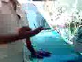 enjoy-chat enjoy-chat