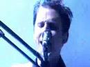 Muse