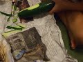 vs. the zucchini