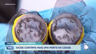 Dengue em Marília: Saúde confirma mais uma morte na cidade