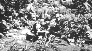 Olive's Vintage Family Film