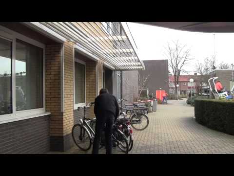 freekout - De ckv-film van Harm Wiegerinck, Marc Geerts, Mick Tuit, Robbin Steentjes en Stefan Bos.