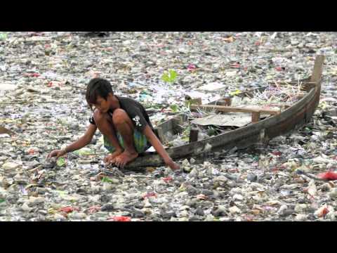 Environment & Pollution