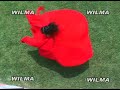 te quiero mi vida de wilma contreras