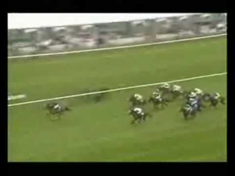 horse racing