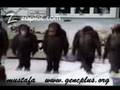 Horon  Trabzon  Karadeniz  www dedikodu gen tr sitesne girin