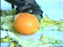 Fruit crushing in high heel shoes