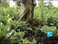 The rape of Kivu-Report-En-France24