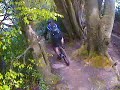 MTB Headcam video of Summer Lightning, Leith Hill. Surrey MTB Headcam video of Summer Lightning, Leith Hill. Surrey