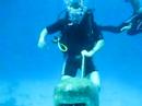 diving red sea diving red sea