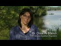 Save the living Danube
