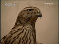 在松花江边的一个满族村庄�...