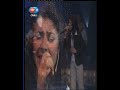 Sevda Gül ''ne zaman kurudu - Akkuş'un gürgenleri''
