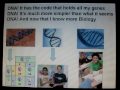 DNA Replication Song