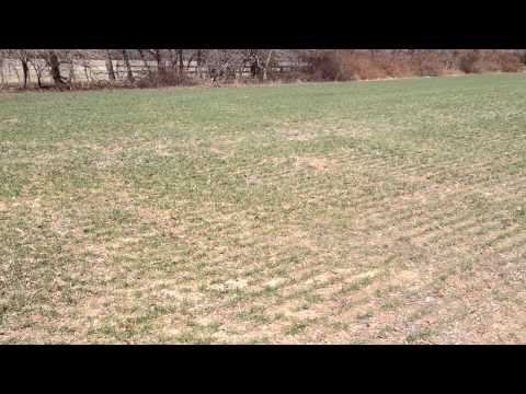114.9 acres Denton, MD